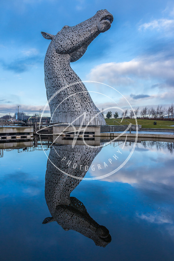 Duke 
 Duke is one of The Kelpies