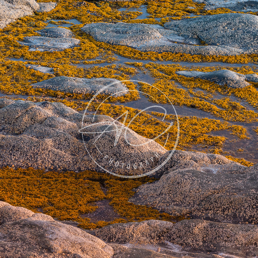 Golden Rock Pool