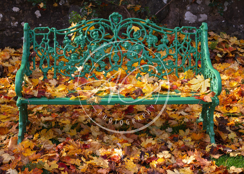 Autumn seat